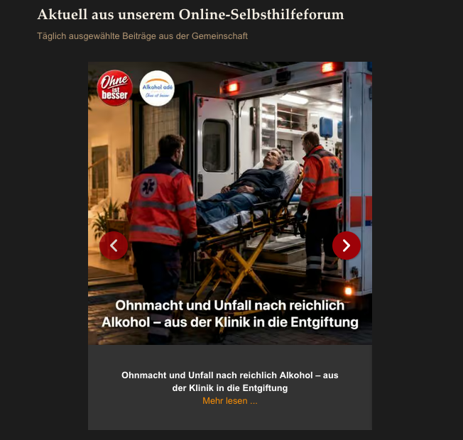 Screenshot der Website "alkohol-ade.com" von Gaby und Dr. med. Bernd Guzek