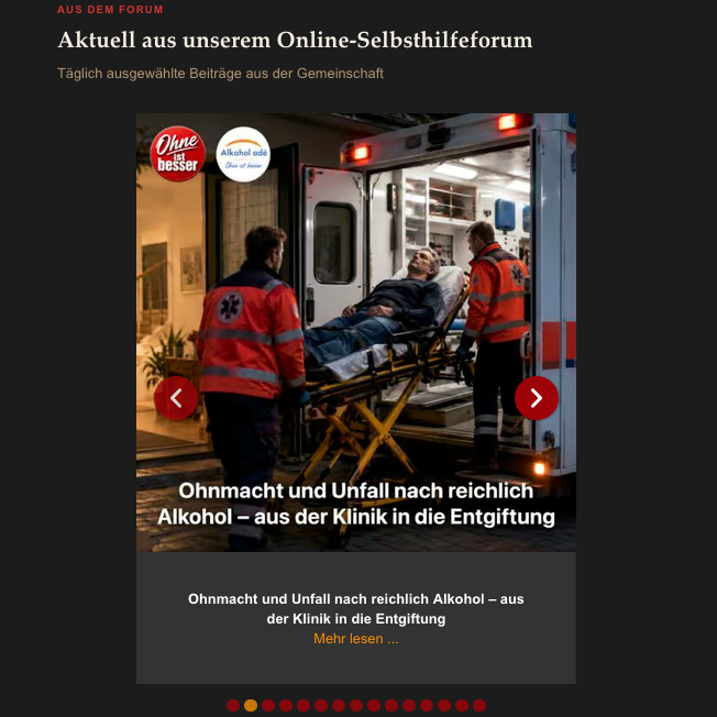 Screenshot der Website "alkohol-ade.com" von Gaby und Dr. med. Bernd Guzek