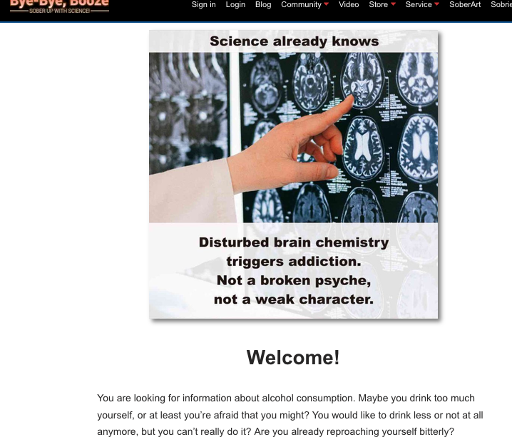 Screenshot of bye-bye-booze.com