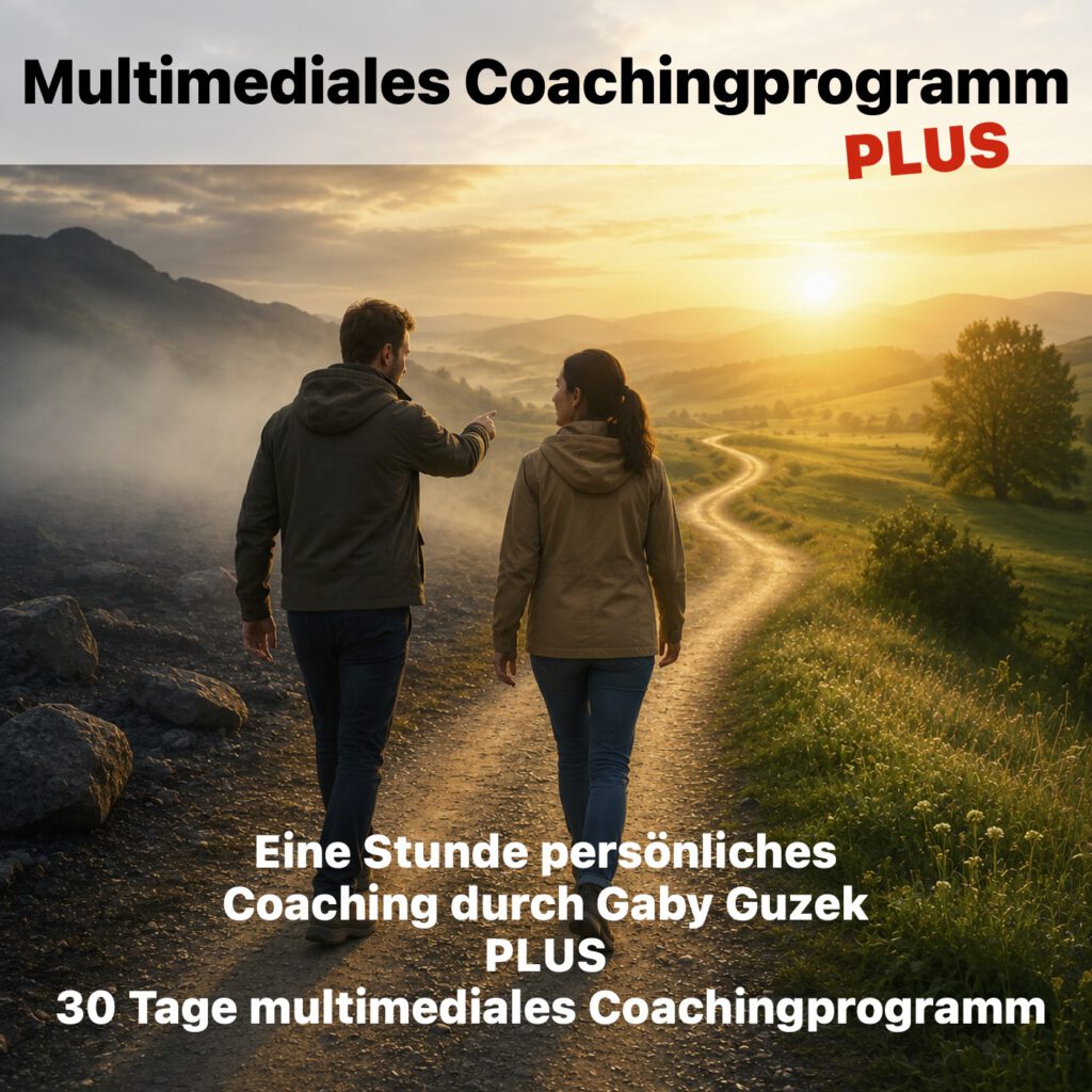 Ad für Multimediales Coachingprogramm PLUS