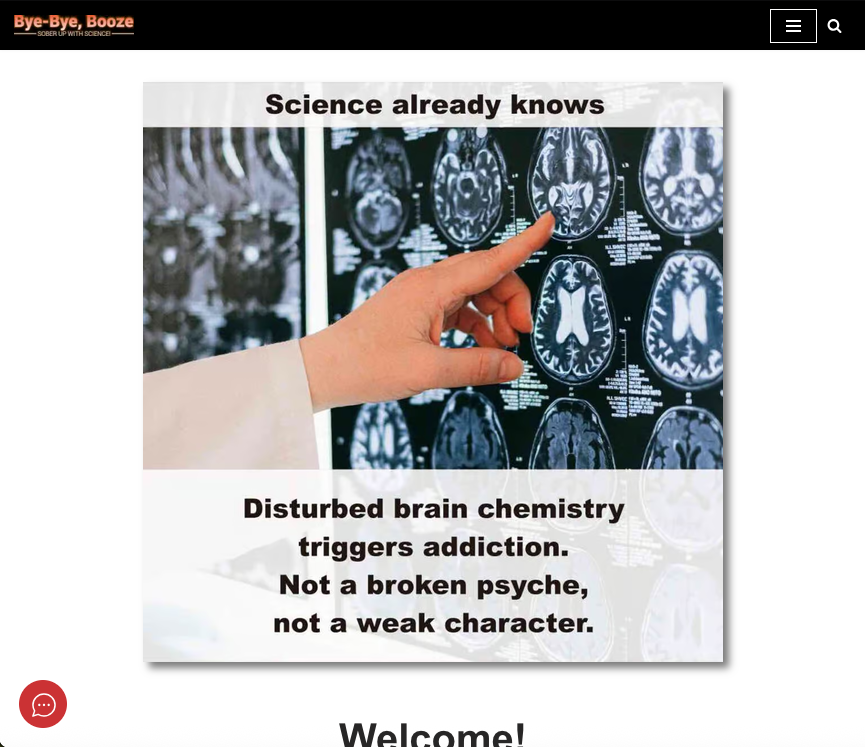 Screenshot of bye-bye-booze.com